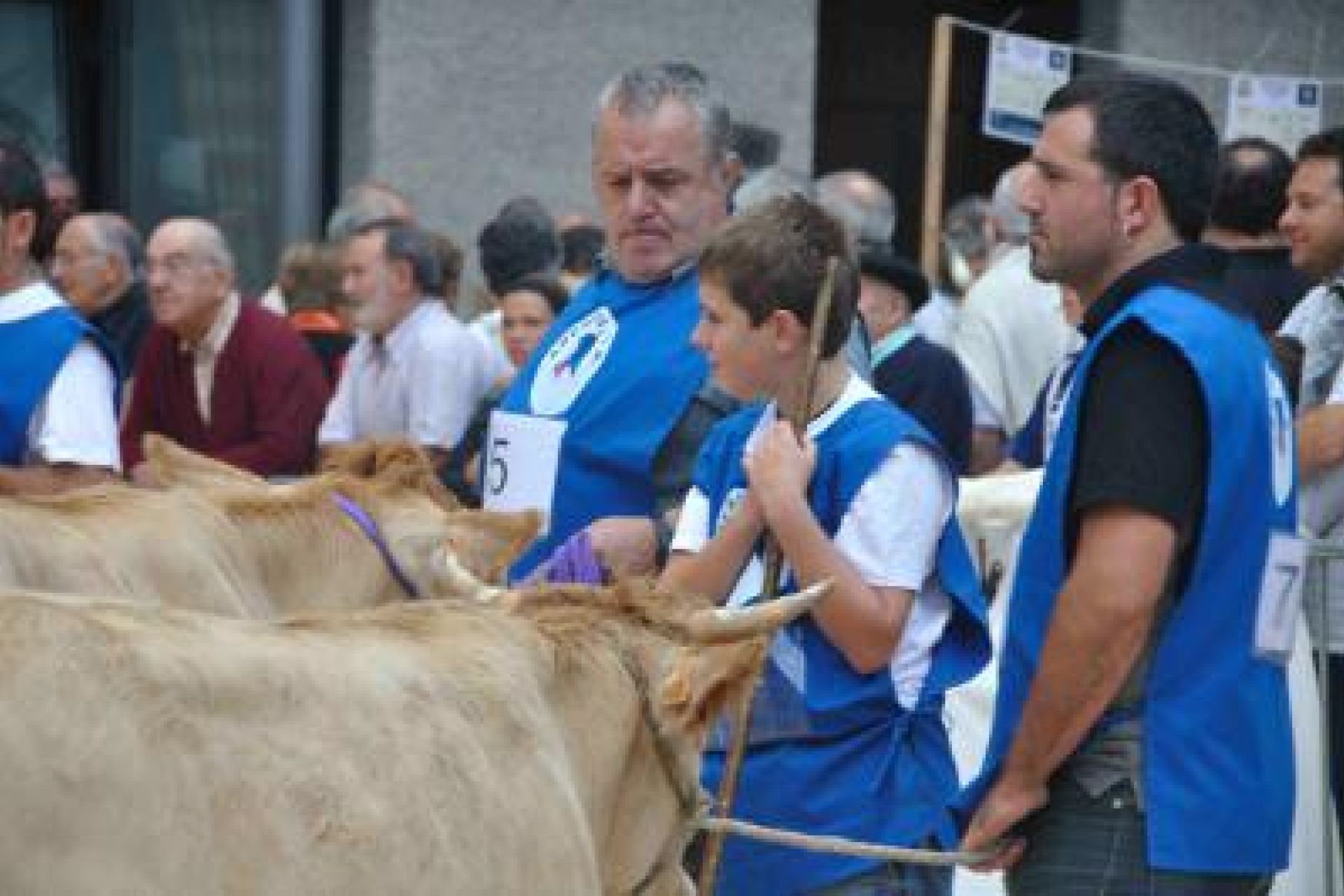 Ordiziako Euskal Jaietako azoka bereziko lehiaketen emaitzak